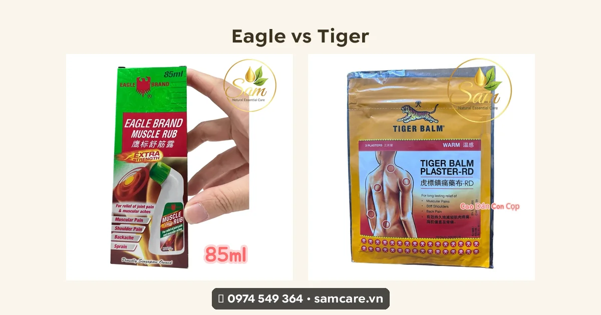 So sánh Eagle Muscle Rub Salonpas Tiger Balm flat lay