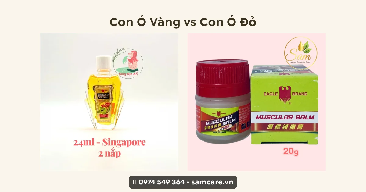 Dầu gió Con Ó Vàng và Đỏ Singapore Eagle Brand